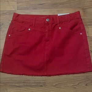 American Eagle Outfitters Hi-Rise Festival Mini Skirt Size 14
